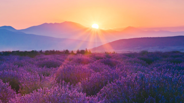 A Powerful Tool for Radiant Health