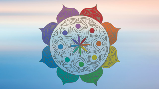 What Are the 8 Limbs of Yoga?