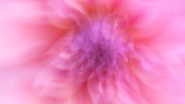 Reset Before Your Next Task