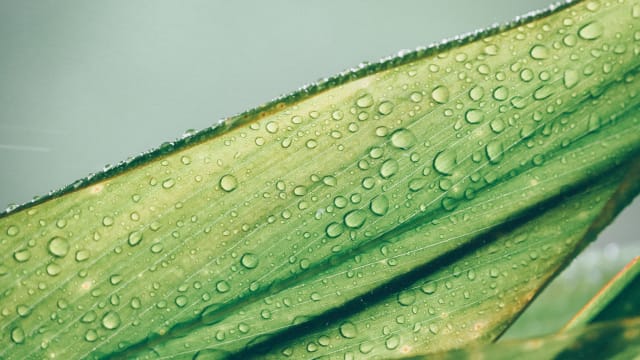 Strengthen Your Focus Muscle