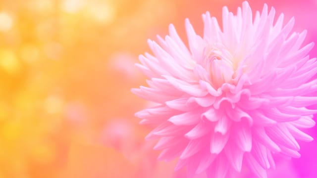 Think More Positively