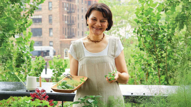 Q&A with Divya Alter