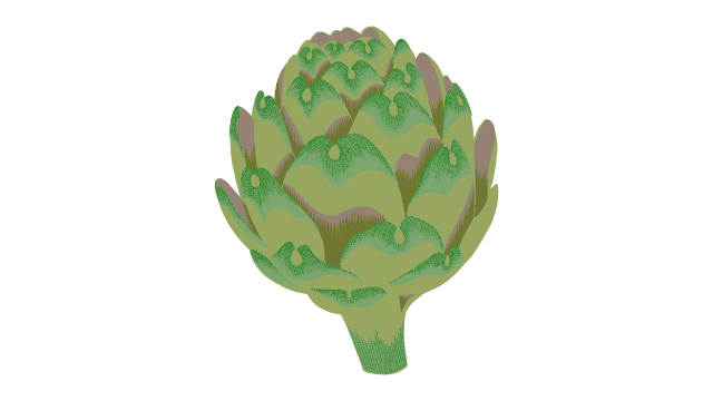 Artichoke