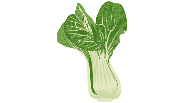 Bok Choy