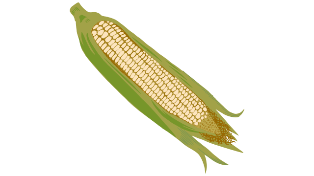 Corn