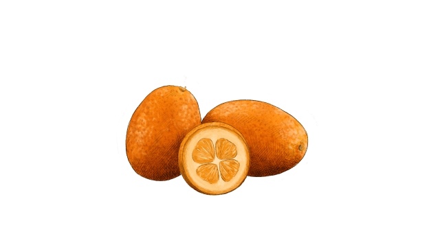 Kumquat