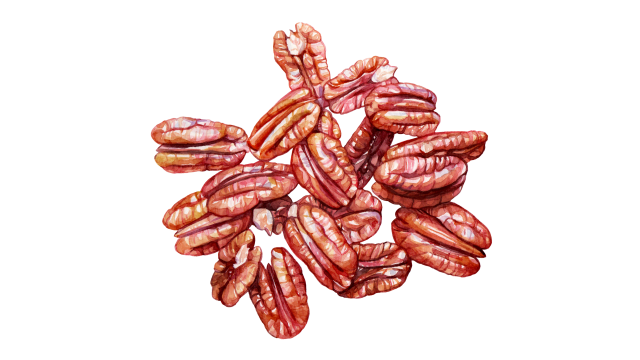 Pecan