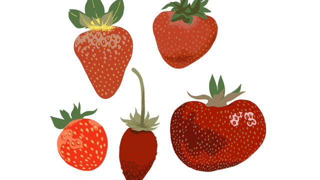 Strawberry