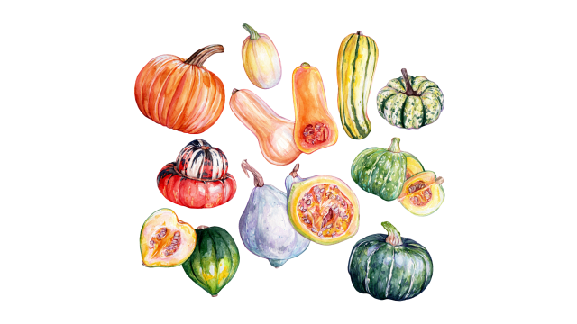 Winter Squash