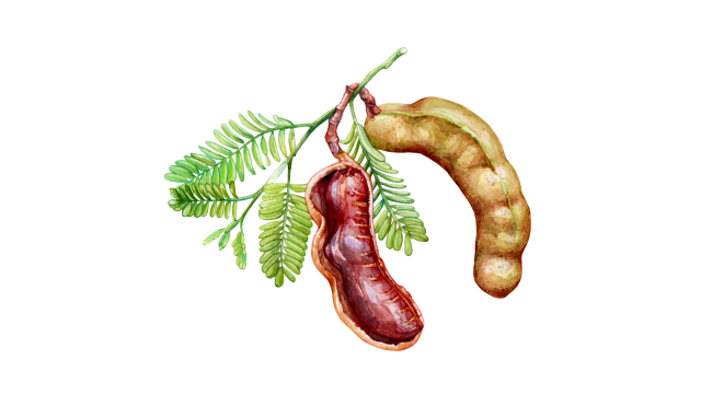 Tamarind