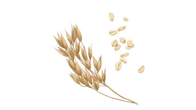 Oat