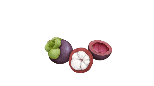 Mangosteen