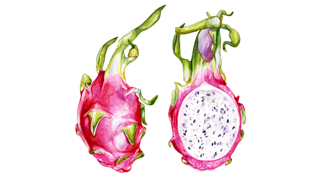 Dragon Fruit