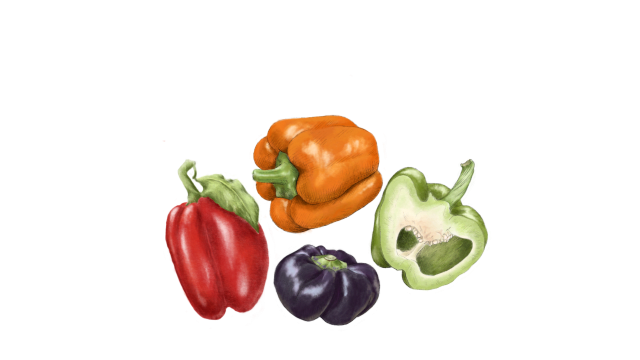 Bell Pepper