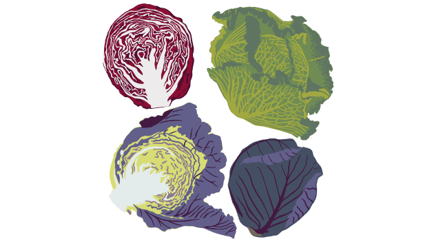 Cabbage