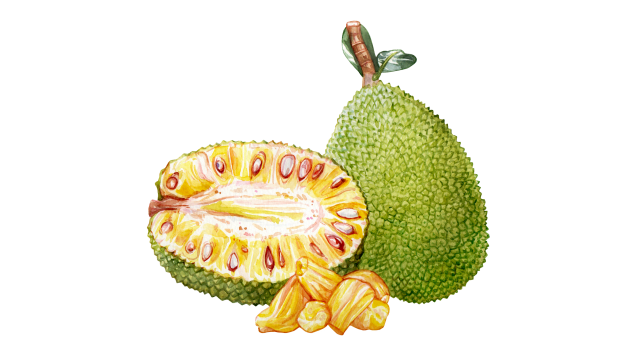 Jackfruit