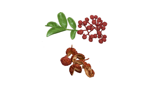 Sichuan Peppercorn