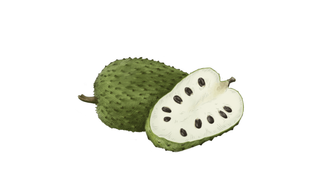 Soursop
