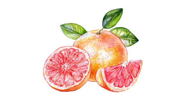 Grapefruit