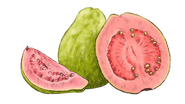 Guava