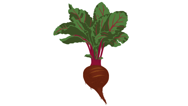 Beets