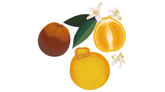 Oranges