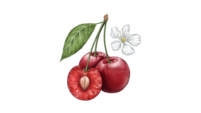 Cherries