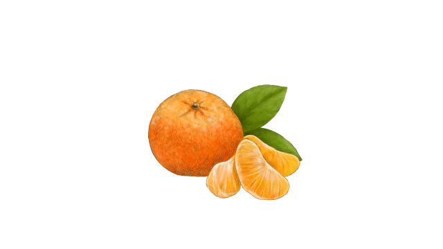 Mandarin Orange: Easy Peeling