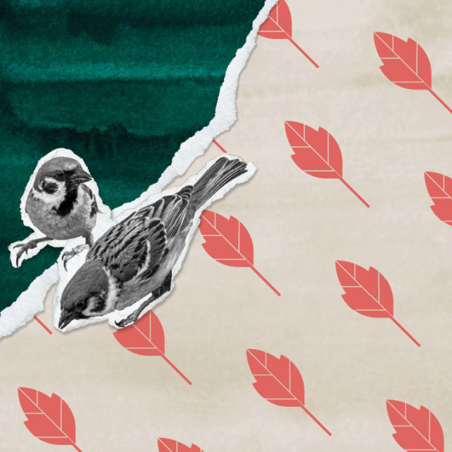 Sleep Story Cover