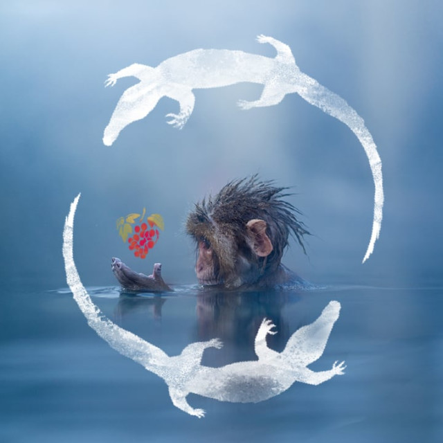 Sleep Story Cover