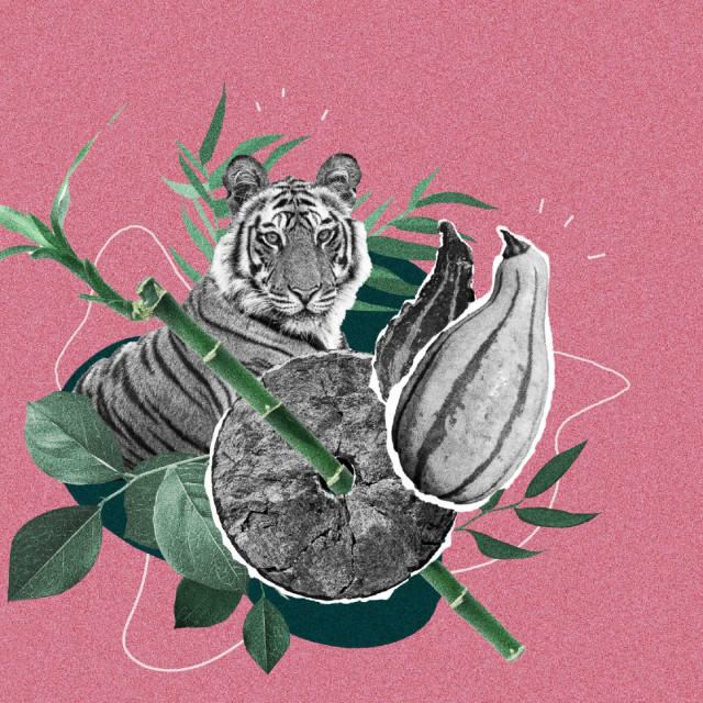 Sleep Story Cover
