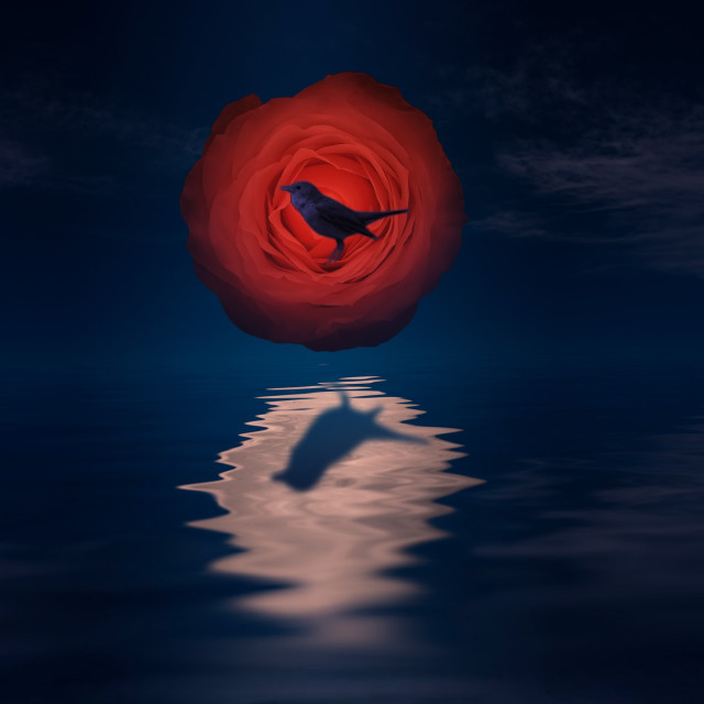Sleep Story Cover