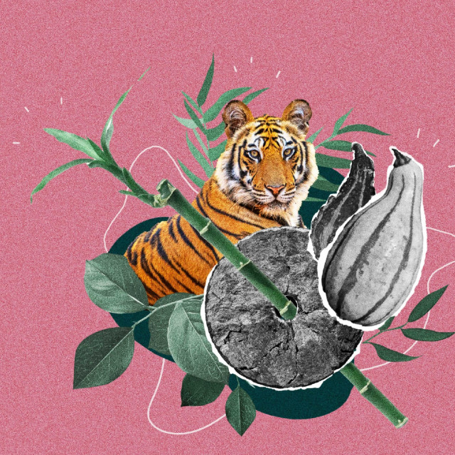 Sleep Story Cover