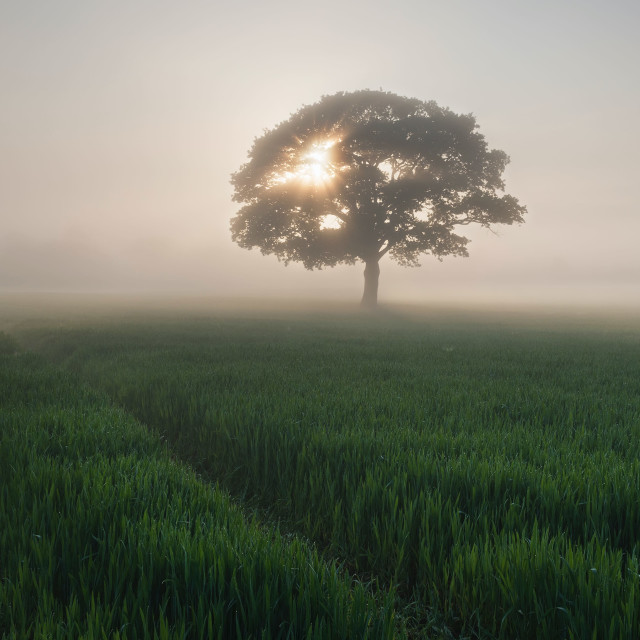 Finding the Teacher Within You