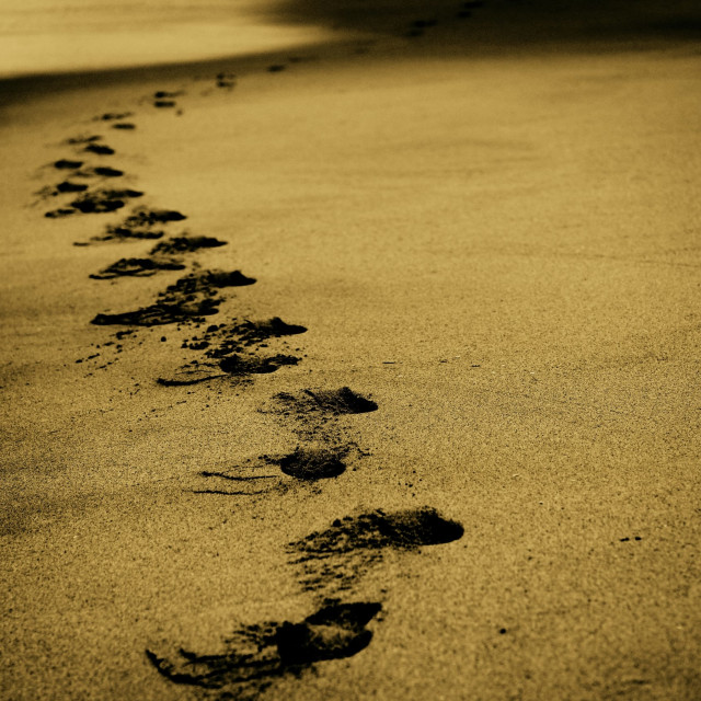 About The Miracle of Life (Part 1)
