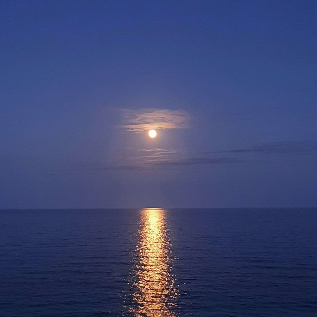 Across the Blue Bay