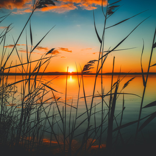 Beyond the Horizon