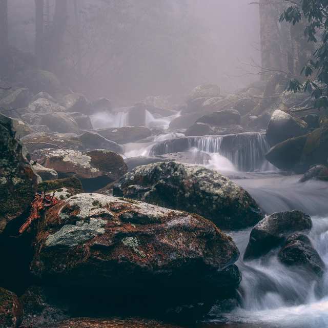 Ghosts on Old Settler's Trail