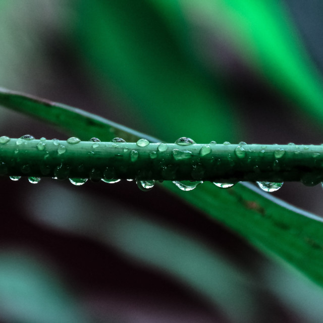 From the Depth of the Earth