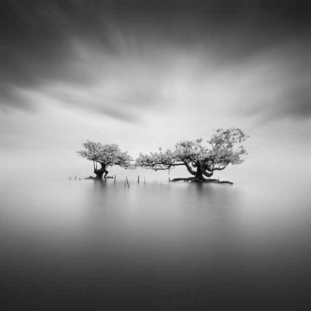 A Tale To Tell