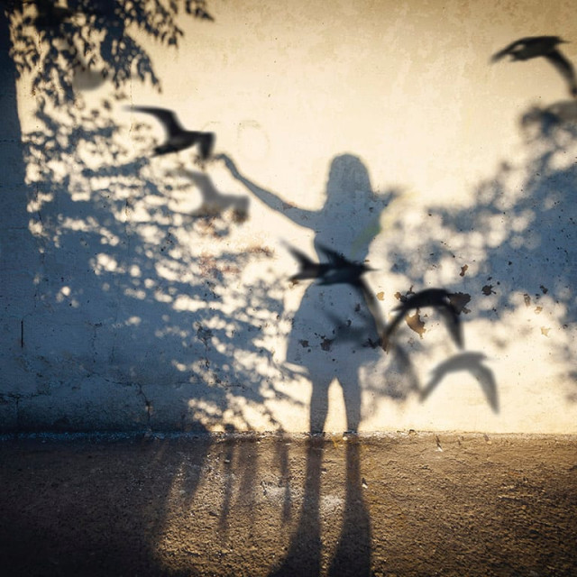 Flight Reprise
