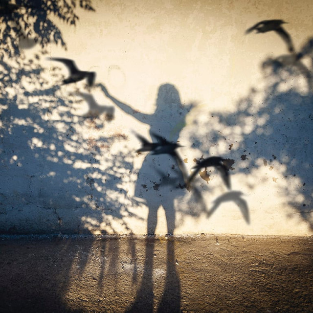 Flight