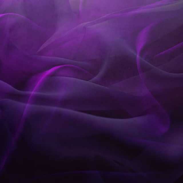 Roaming with the Whales