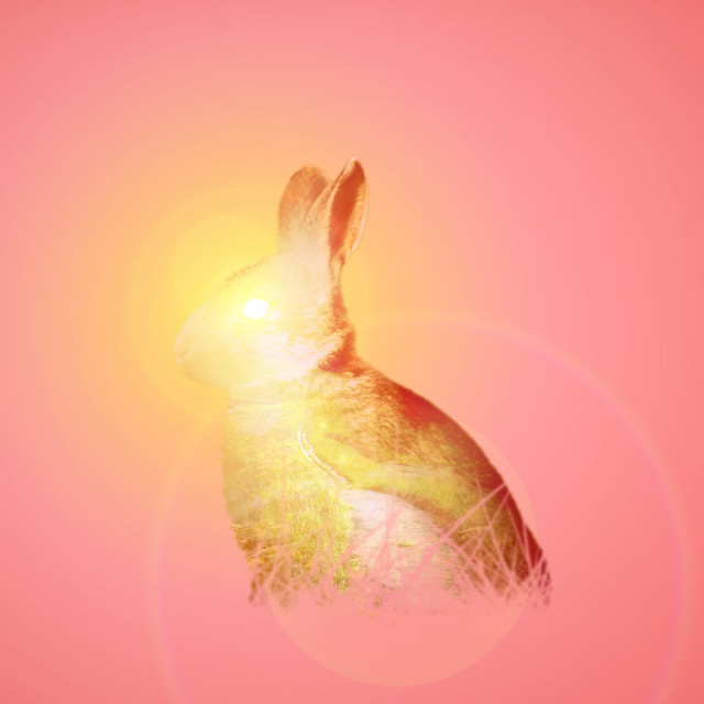 How the Rabbit Caught the Sun