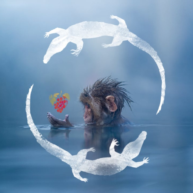 The Monkey and the Crocodile