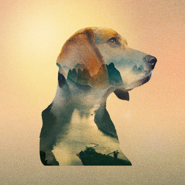 Lo Sun the Blind Boy