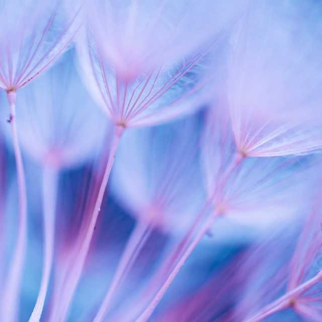 Theta Binaural Beat