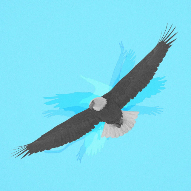 Gray Eagle and His Five Brothers