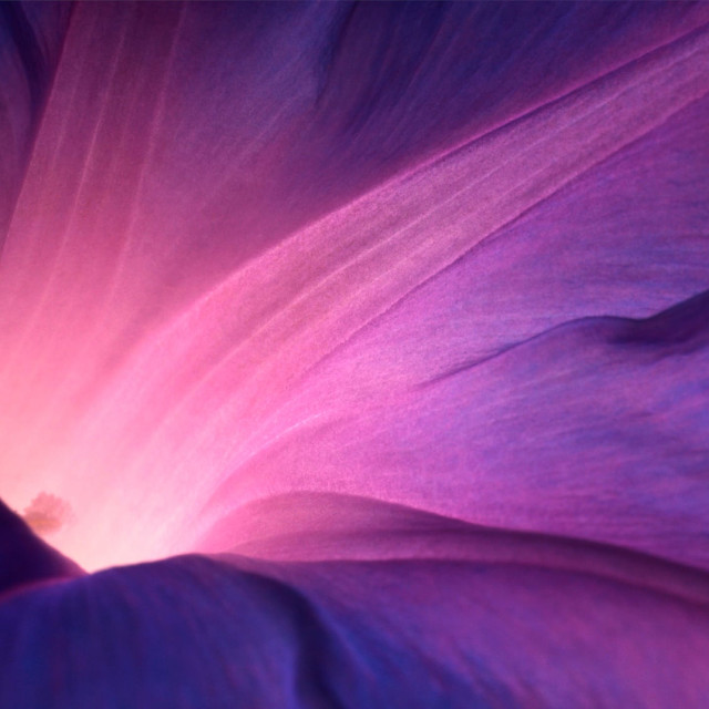 Breathwork for Beginners