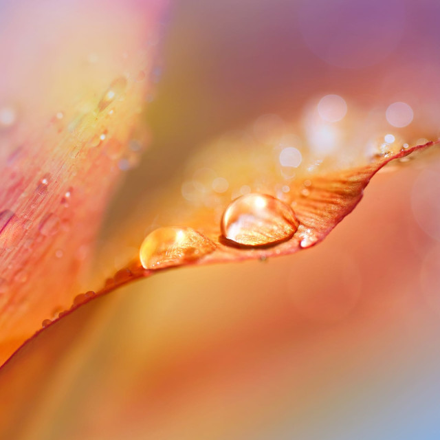 Quick Meditation for Inner Peace